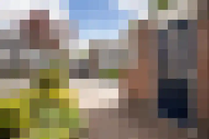 Jarigsmastins 20 Leeuwarden thumbnail 10