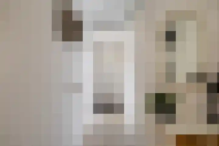 Jarigsmastins 20 Leeuwarden thumbnail 21