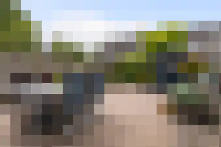 Jarigsmastins 20 Leeuwarden thumbnail 23