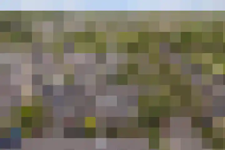 Jarigsmastins 20 Leeuwarden thumbnail 5