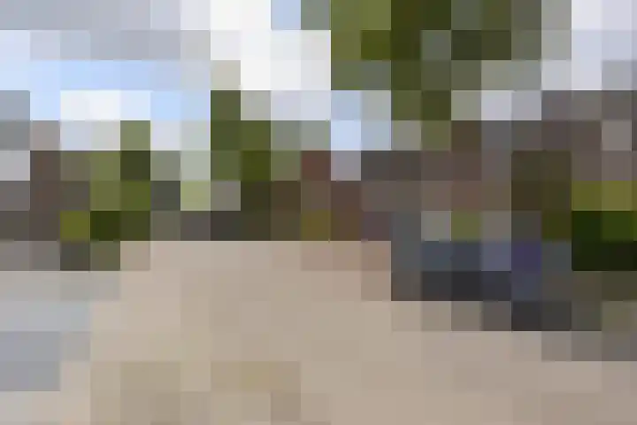 Jarigsmastins 20 Leeuwarden thumbnail 6