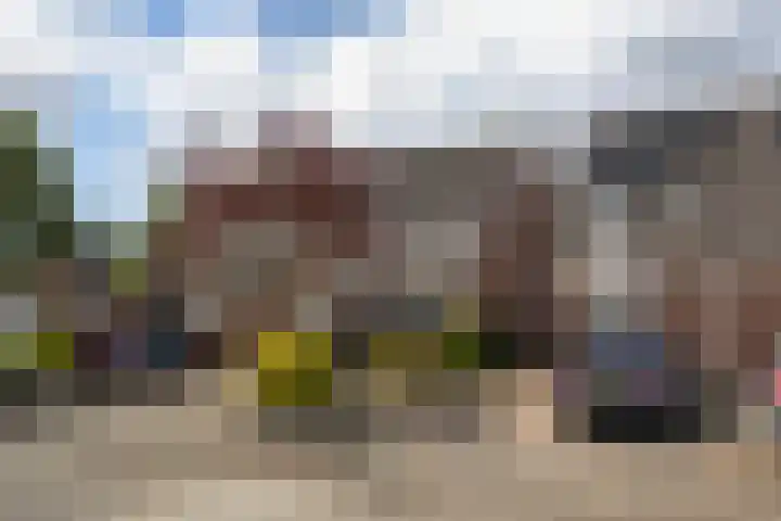Jarigsmastins 20 Leeuwarden thumbnail 7