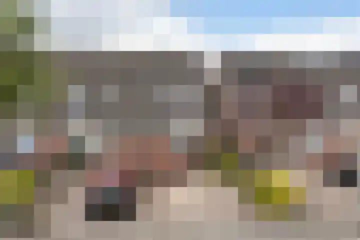 Jarigsmastins 20 Leeuwarden thumbnail 8
