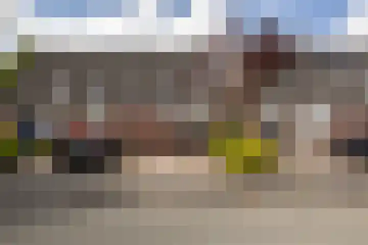 Jarigsmastins 20 Leeuwarden thumbnail 9