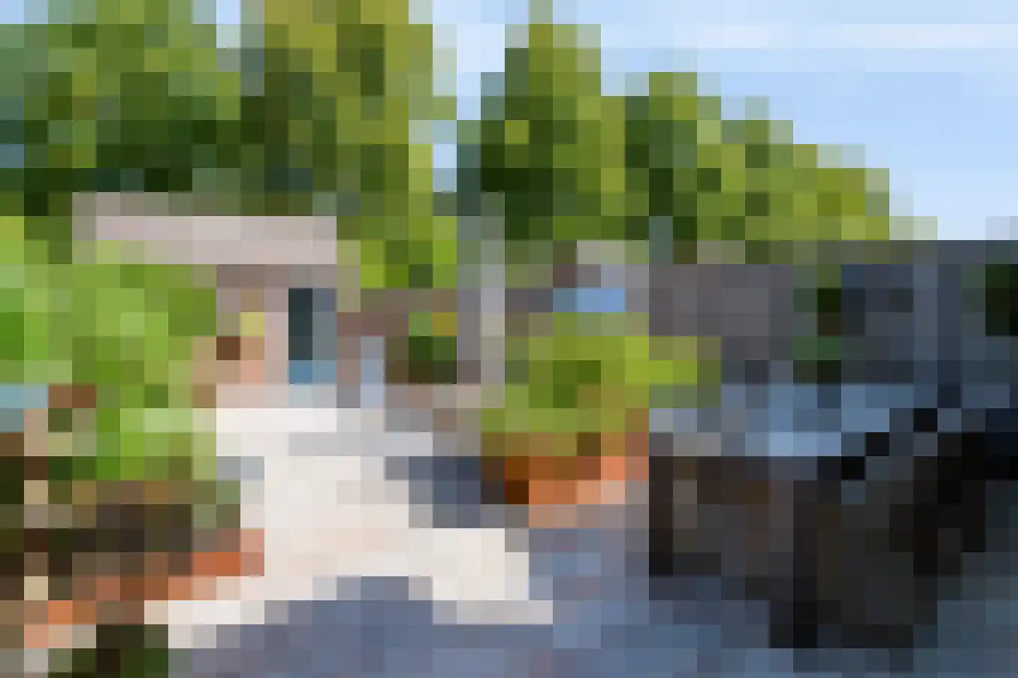 Jaromirgaarde 114 Apeldoorn thumbnail 30
