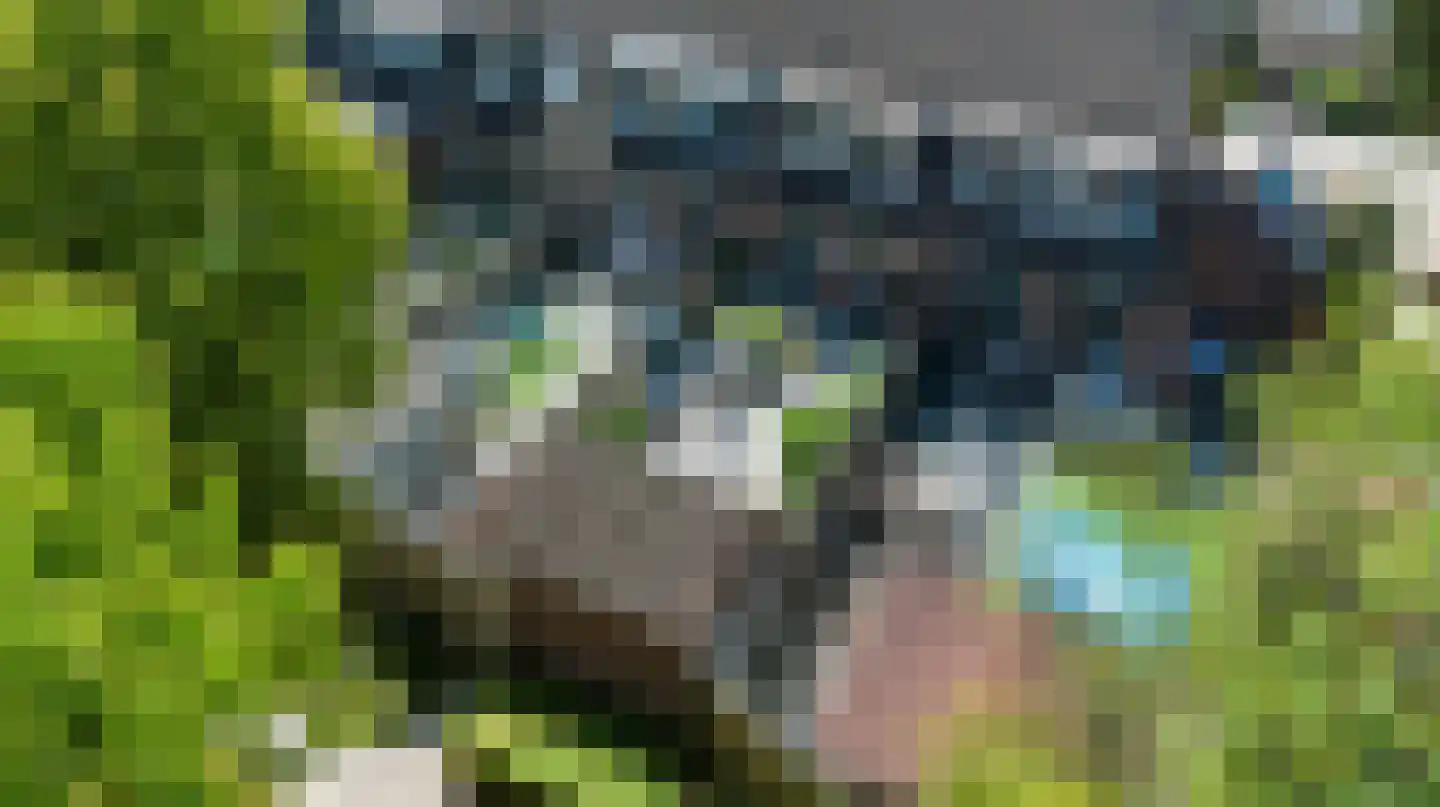 Jaromirgaarde 114 Apeldoorn thumbnail 37