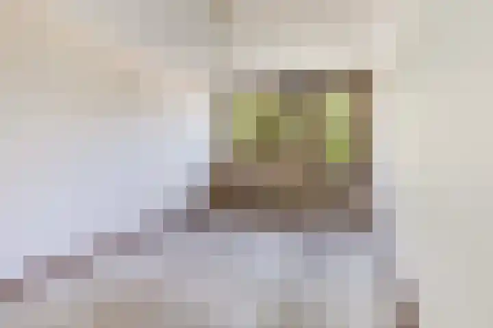 Jaromirgaarde 132 Apeldoorn thumbnail 14