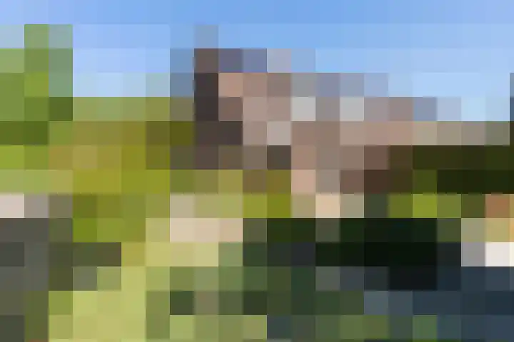 Jaromirgaarde 132 Apeldoorn thumbnail 23