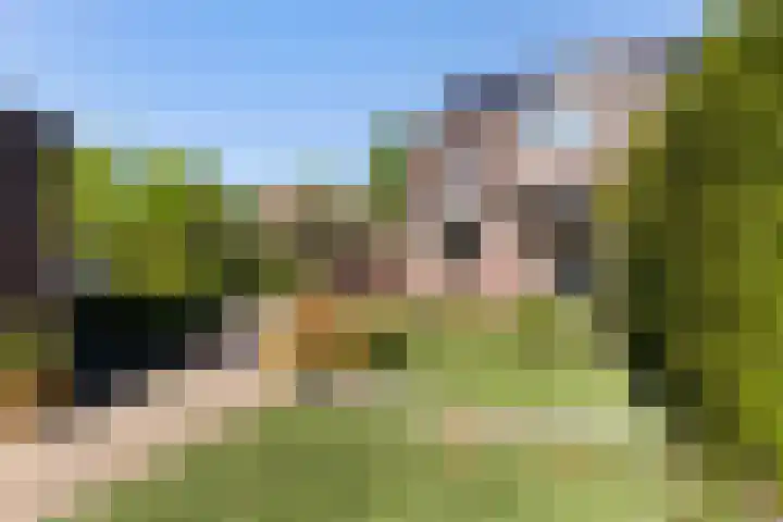 Jaromirgaarde 132 Apeldoorn thumbnail 24