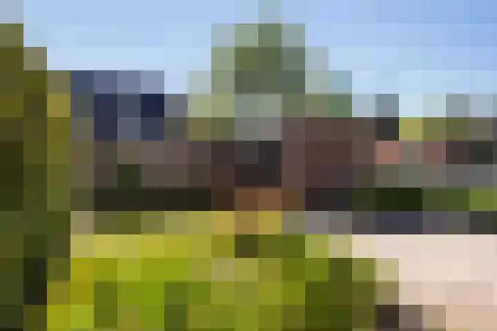 Jaromirgaarde 132 Apeldoorn thumbnail 26