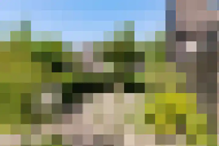 Jaromirgaarde 132 Apeldoorn thumbnail 27