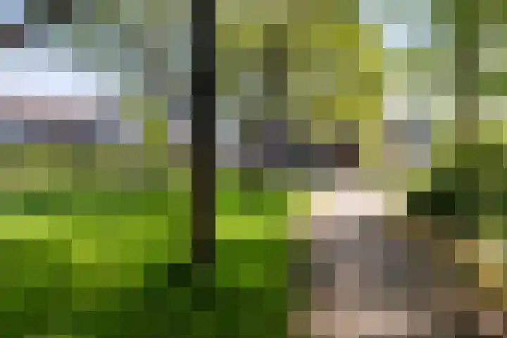 Jaromirgaarde 132 Apeldoorn thumbnail 31