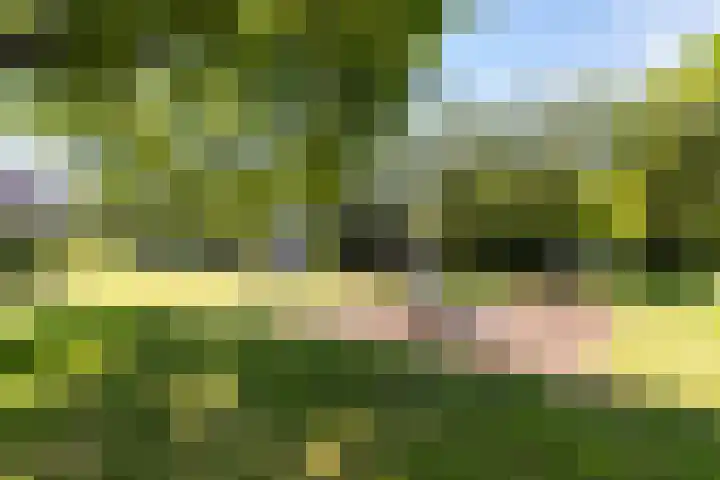 Jaromirgaarde 132 Apeldoorn thumbnail 33
