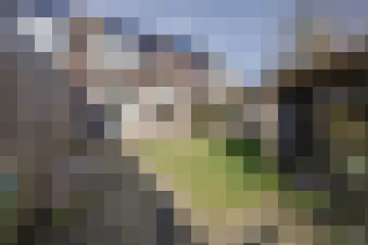 Jaromirgaarde 135 Apeldoorn thumbnail 25