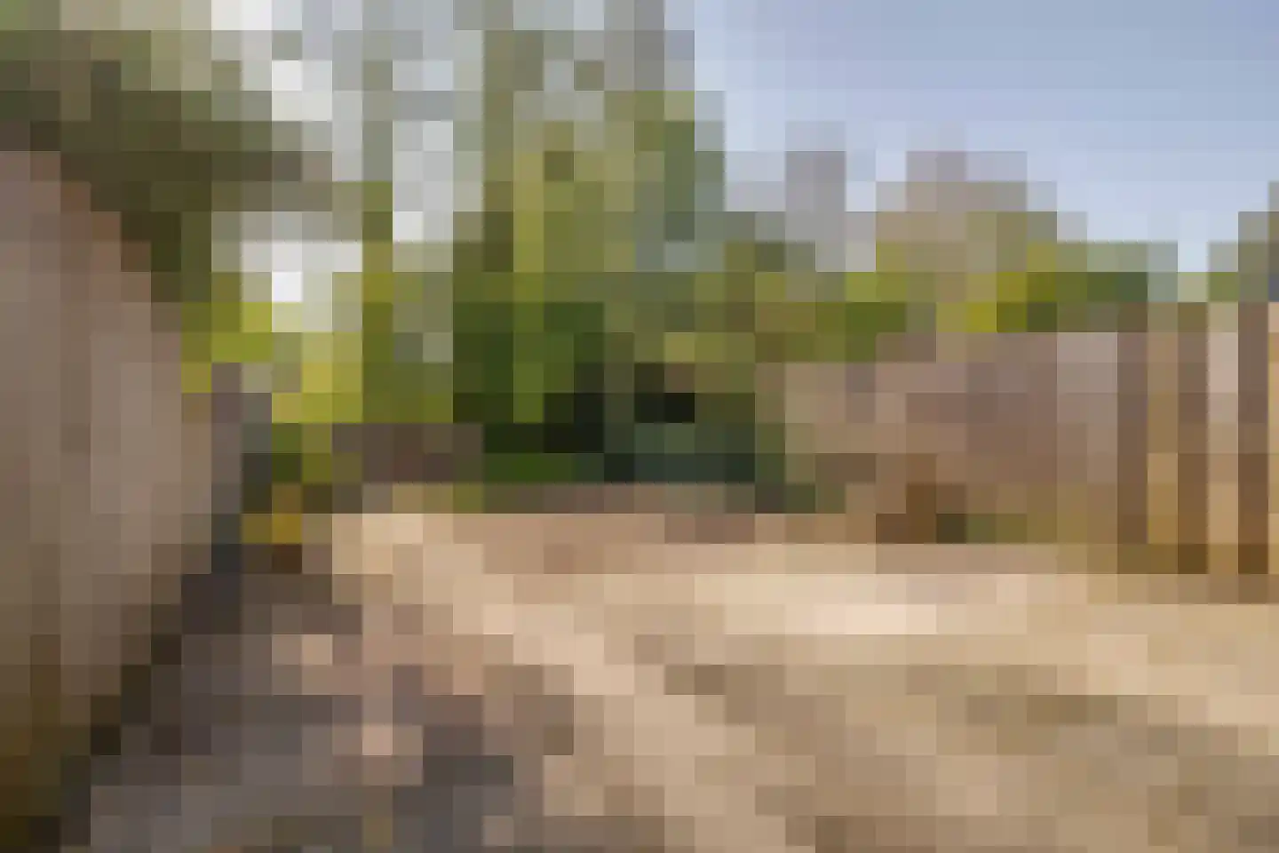 Jaromirgaarde 207 Apeldoorn thumbnail 27