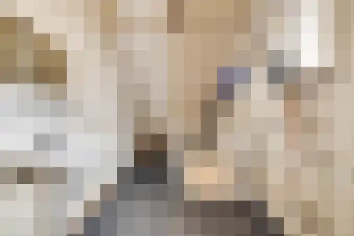 Jaromirgaarde 301 Apeldoorn thumbnail 19