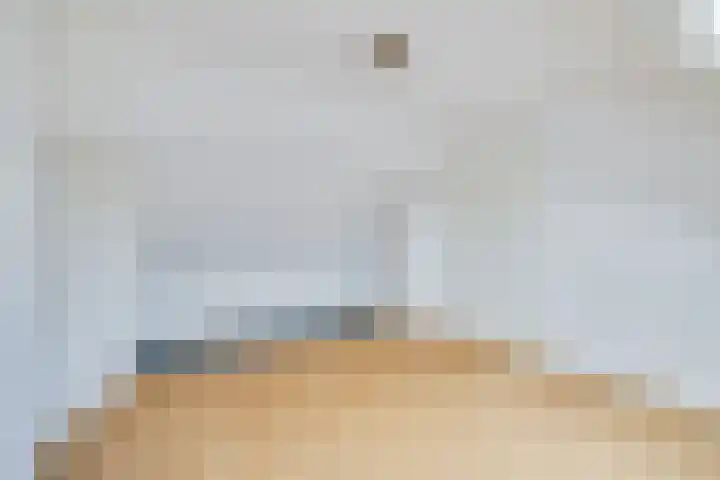 Jaromirgaarde 301 Apeldoorn thumbnail 21