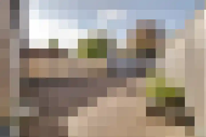 Jaromirgaarde 301 Apeldoorn thumbnail 23