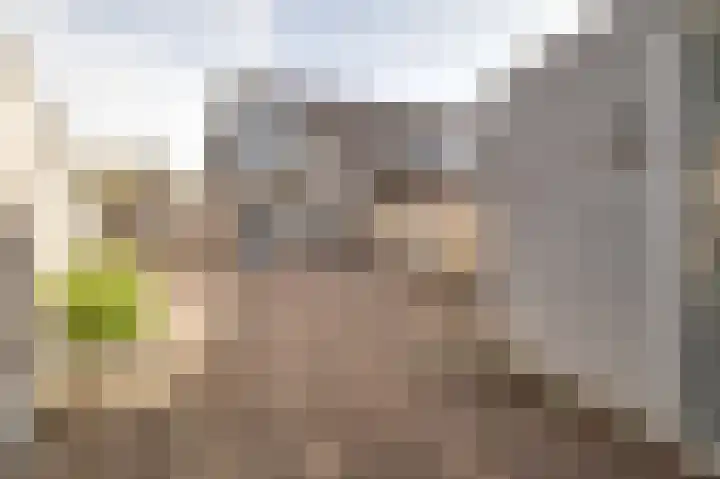 Jaromirgaarde 301 Apeldoorn thumbnail 24