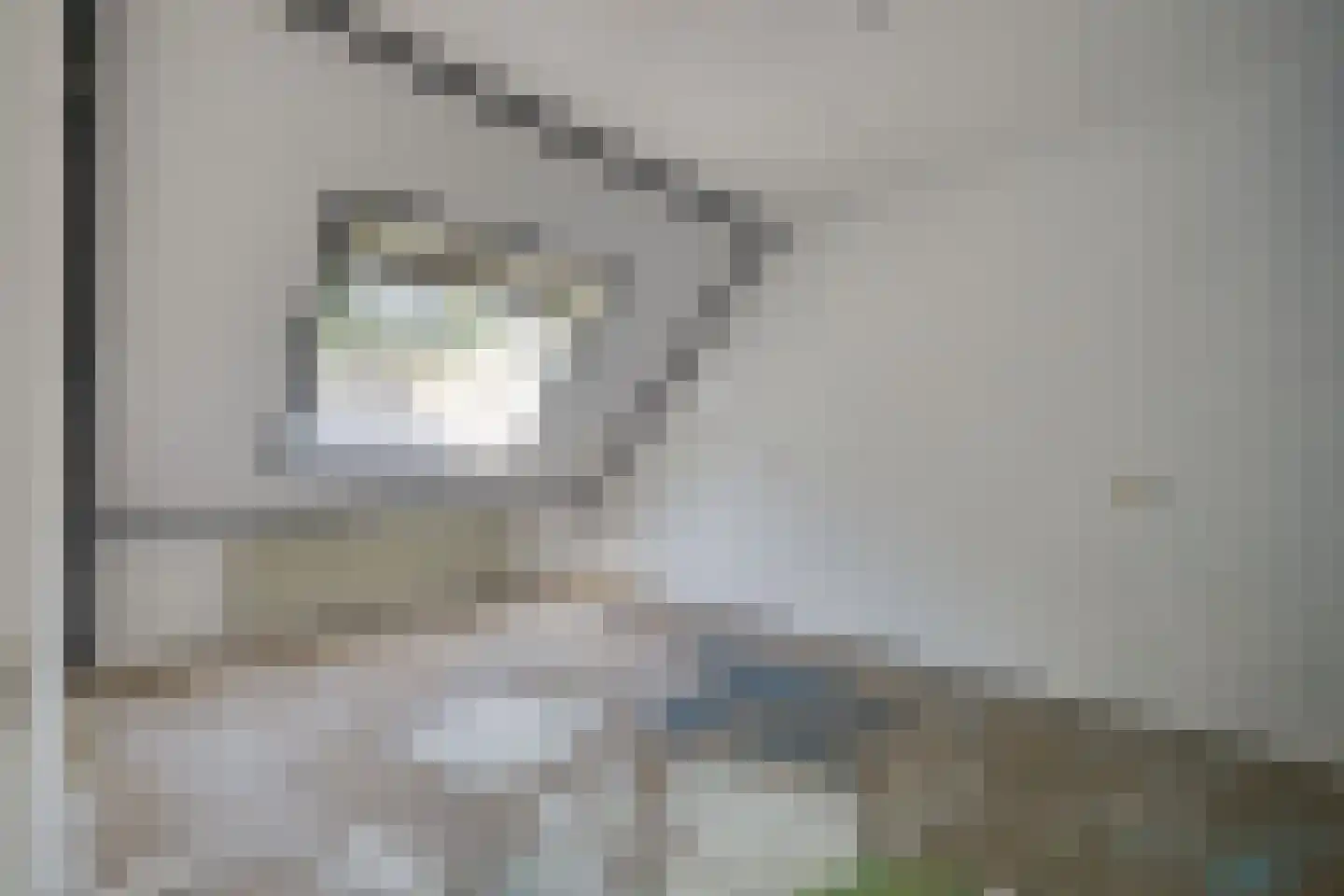 Jaromirgaarde 420 Apeldoorn thumbnail 15