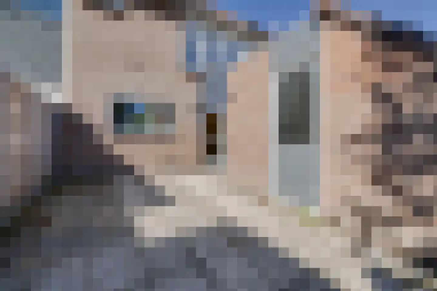 Jaromirgaarde 420 Apeldoorn thumbnail 27