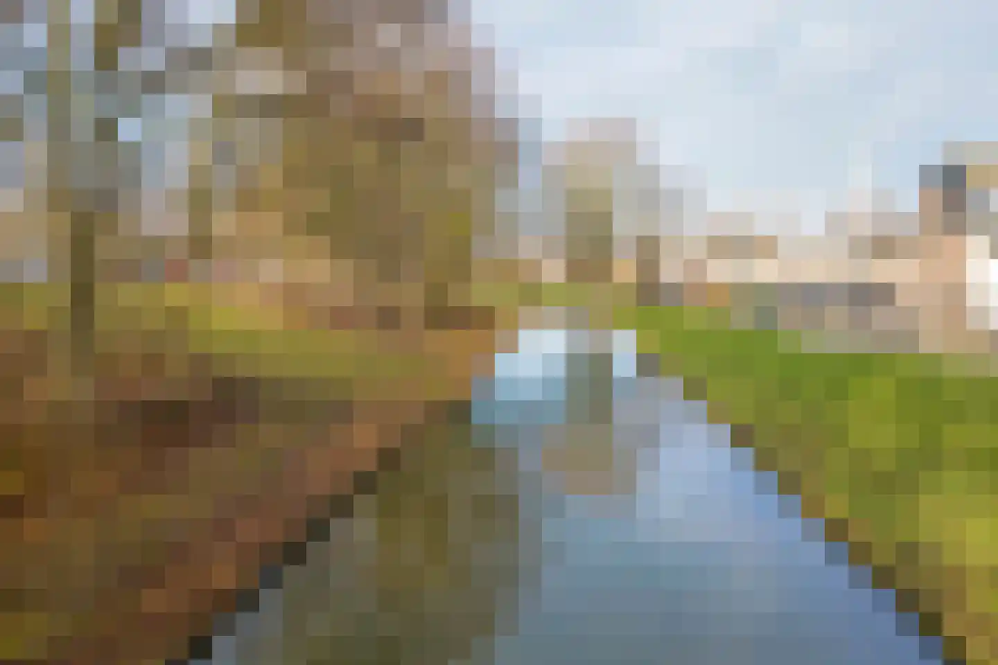 Jaromirhof 5 Hoogvliet Rotterdam thumbnail 26