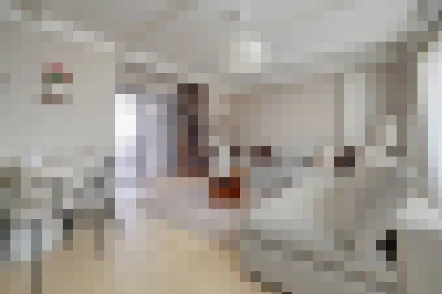 Jaromirhof 5 Hoogvliet Rotterdam thumbnail 6