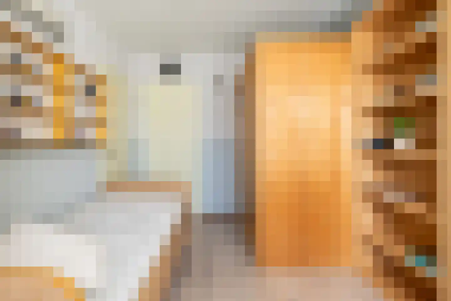 Jasappel 2 St.-Annaparochie thumbnail 15