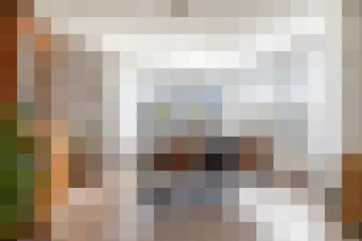 Jasappel 2 St.-Annaparochie thumbnail 24