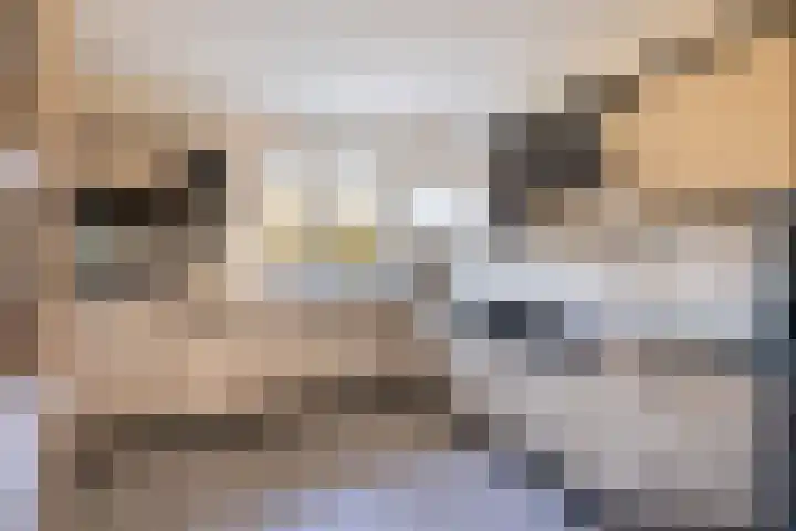Jasappel 2 St.-Annaparochie thumbnail 30