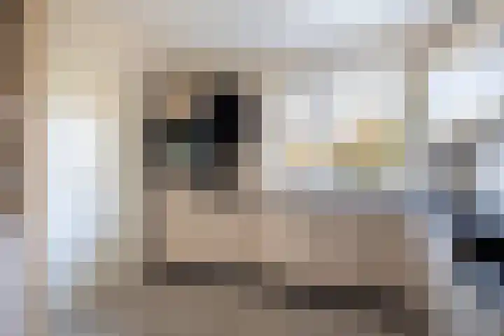 Jasappel 2 St.-Annaparochie thumbnail 31