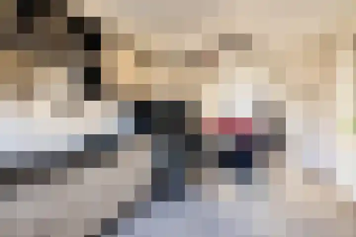 Jasappel 2 St.-Annaparochie thumbnail 33