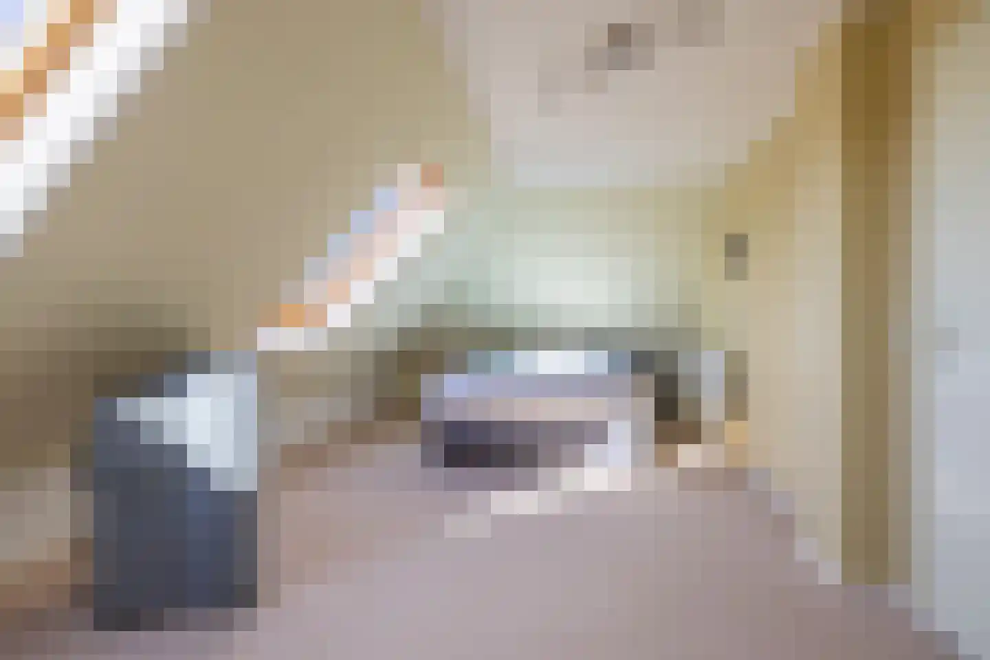 Jasappel 2 St.-Annaparochie thumbnail 37