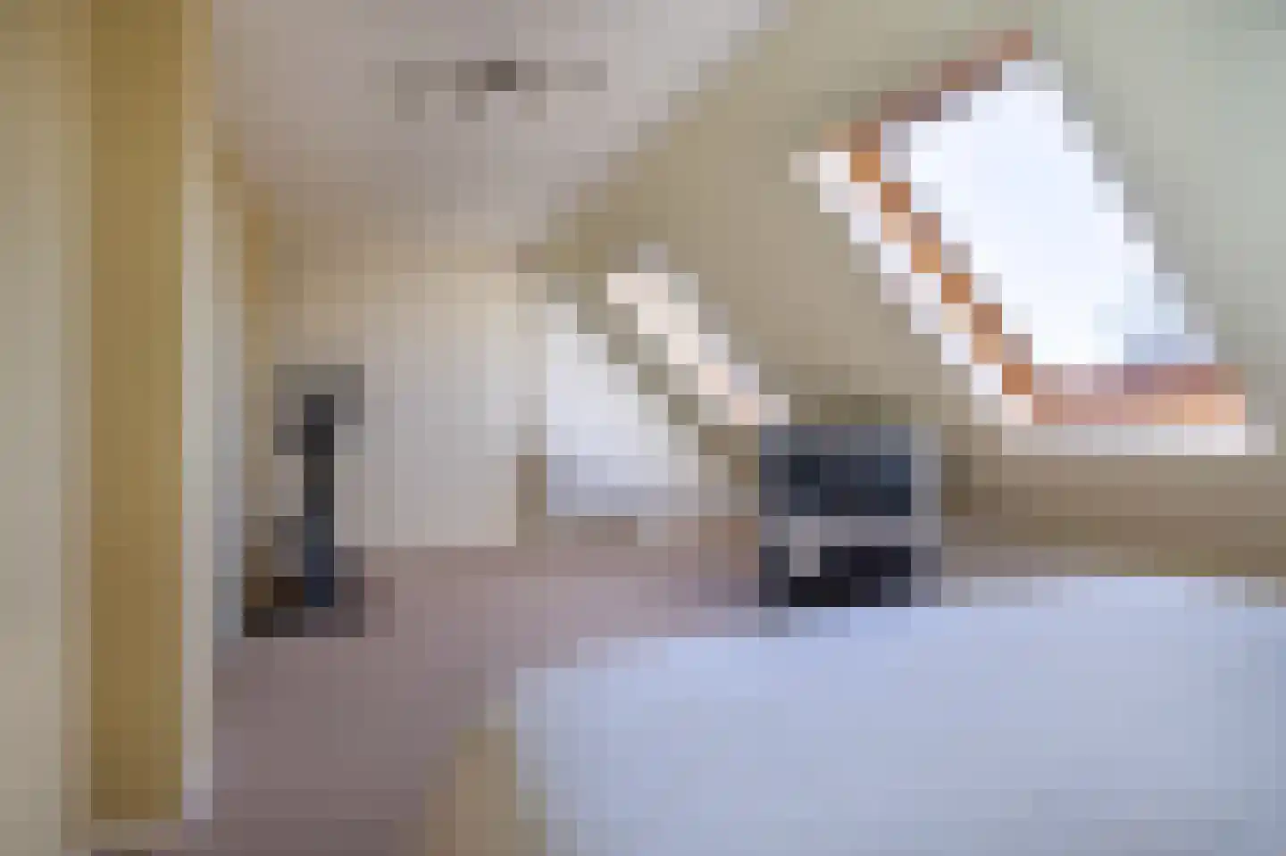 Jasappel 2 St.-Annaparochie thumbnail 38