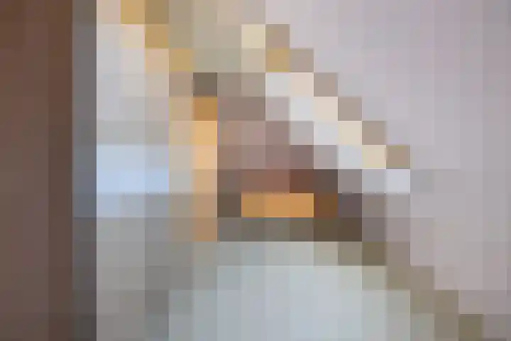 Jasappel 2 St.-Annaparochie thumbnail 41
