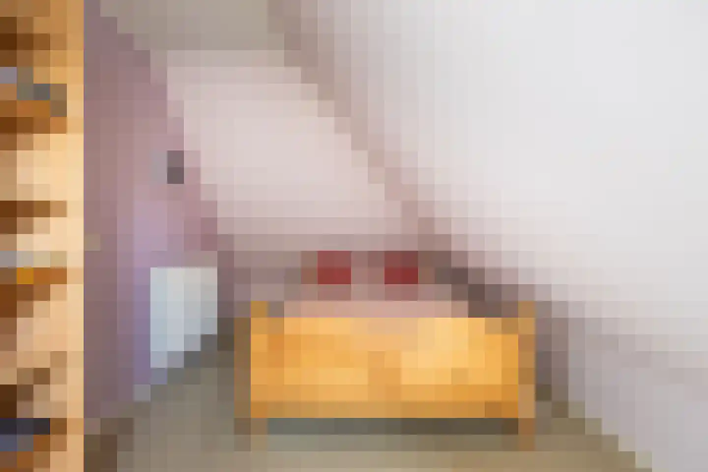 Jasappel 2 St.-Annaparochie thumbnail 41