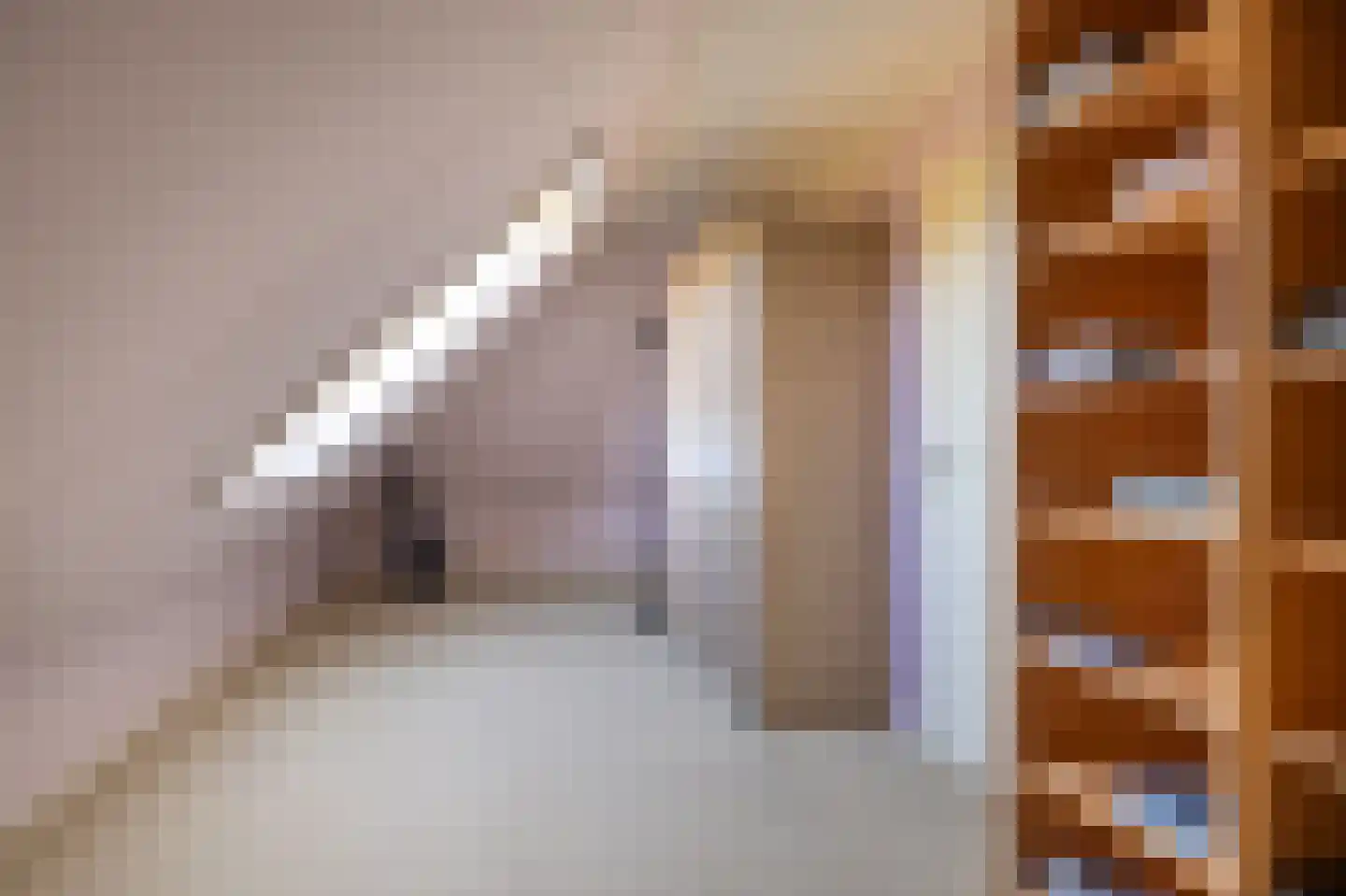 Jasappel 2 St.-Annaparochie thumbnail 42