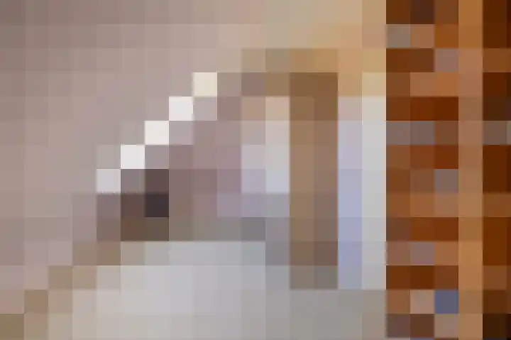 Jasappel 2 St.-Annaparochie thumbnail 43