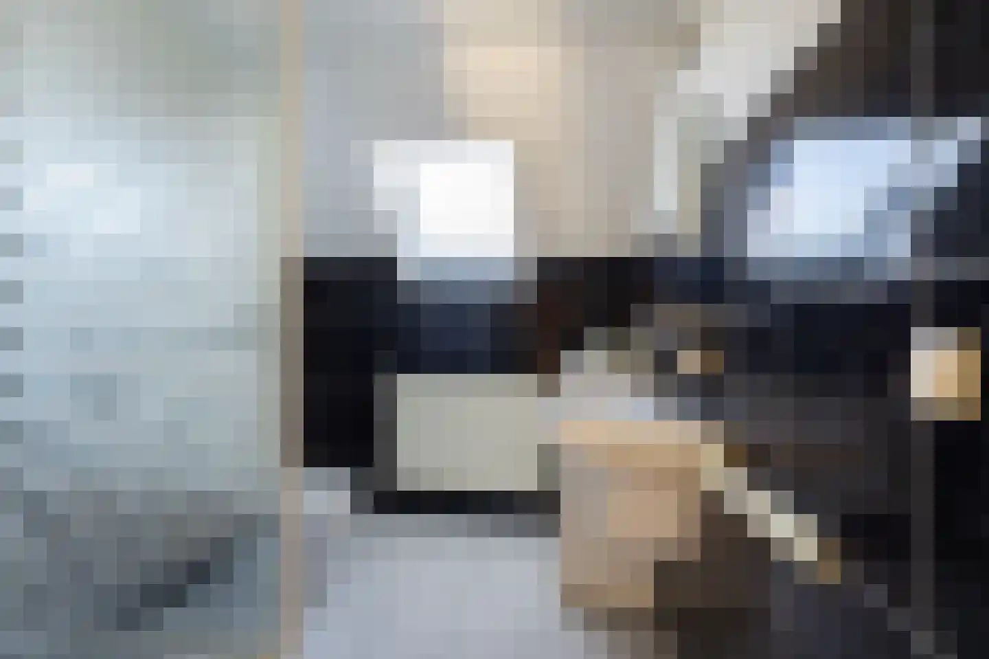 Jasappel 2 St.-Annaparochie thumbnail 44