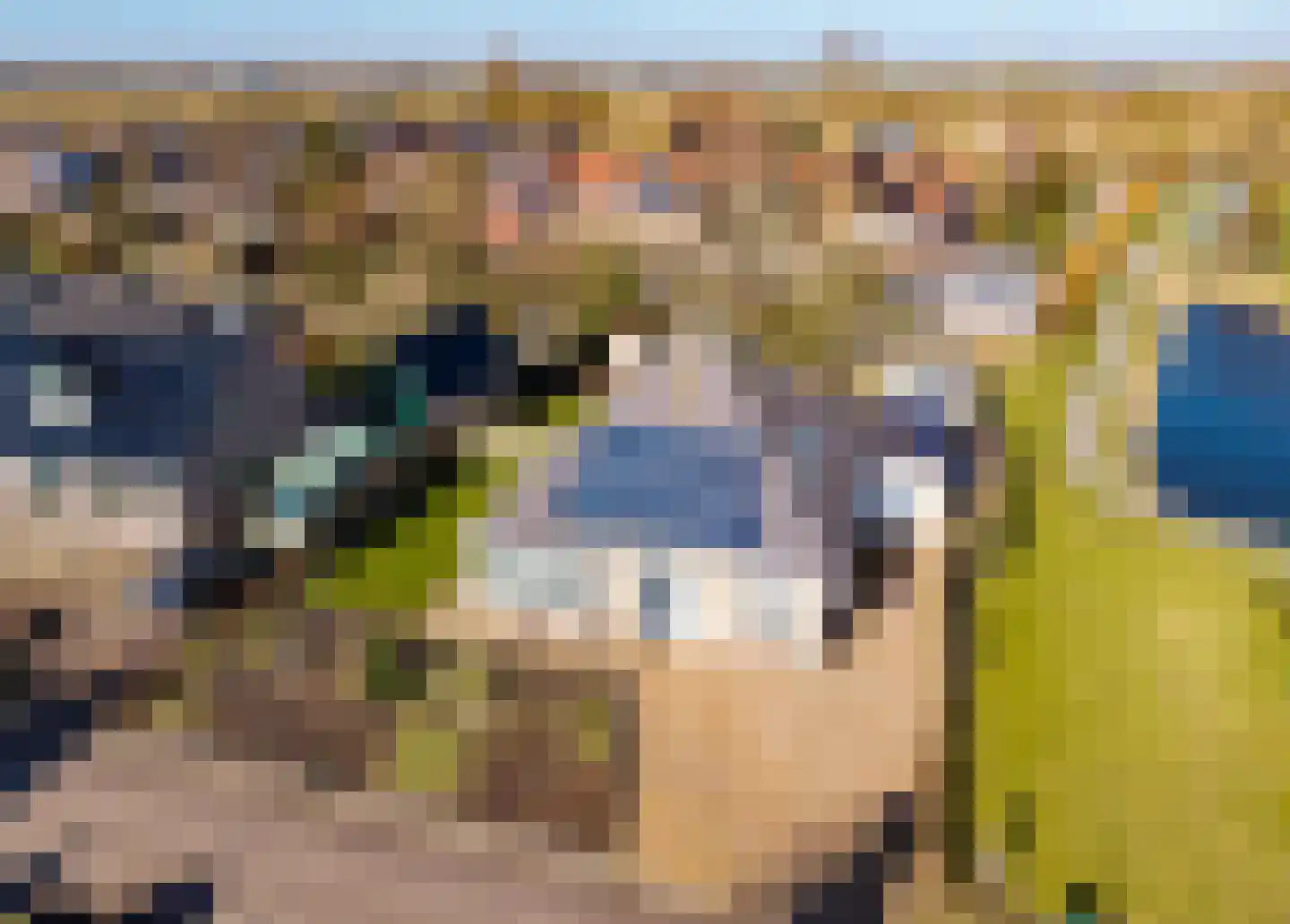 Jasappel 2 St.-Annaparochie thumbnail 6