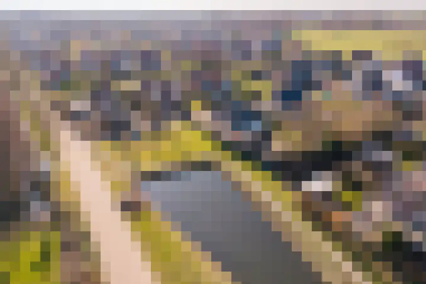 Jasappel 2 St.-Annaparochie thumbnail 61
