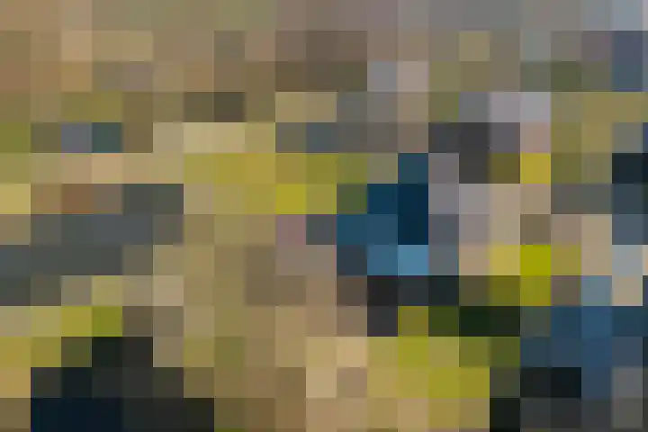 Jasappel 2 St.-Annaparochie thumbnail 61