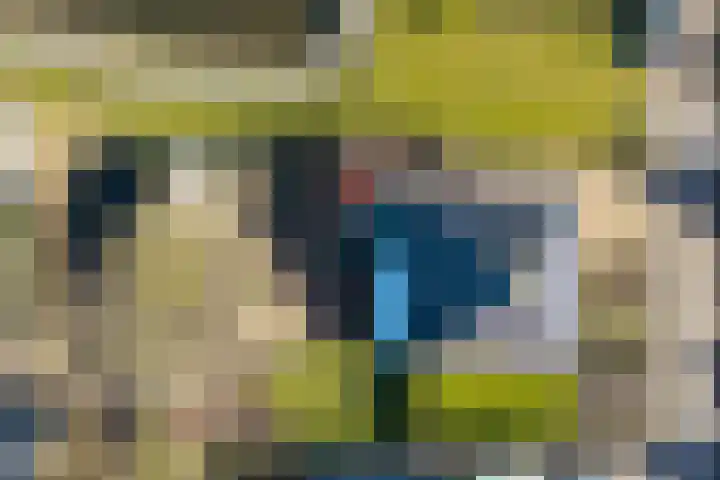 Jasappel 2 St.-Annaparochie thumbnail 62