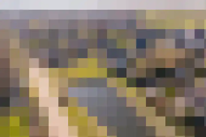 Jasappel 2 St.-Annaparochie thumbnail 63