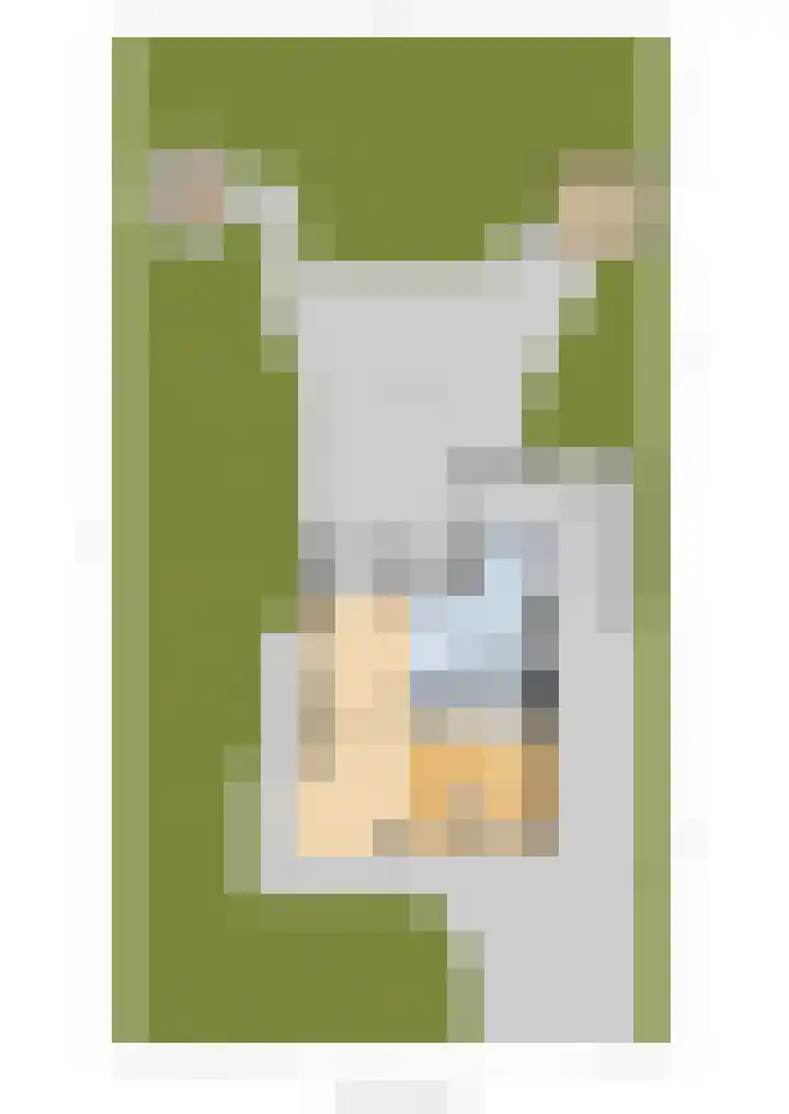 Jasappel 2 St.-Annaparochie thumbnail 74