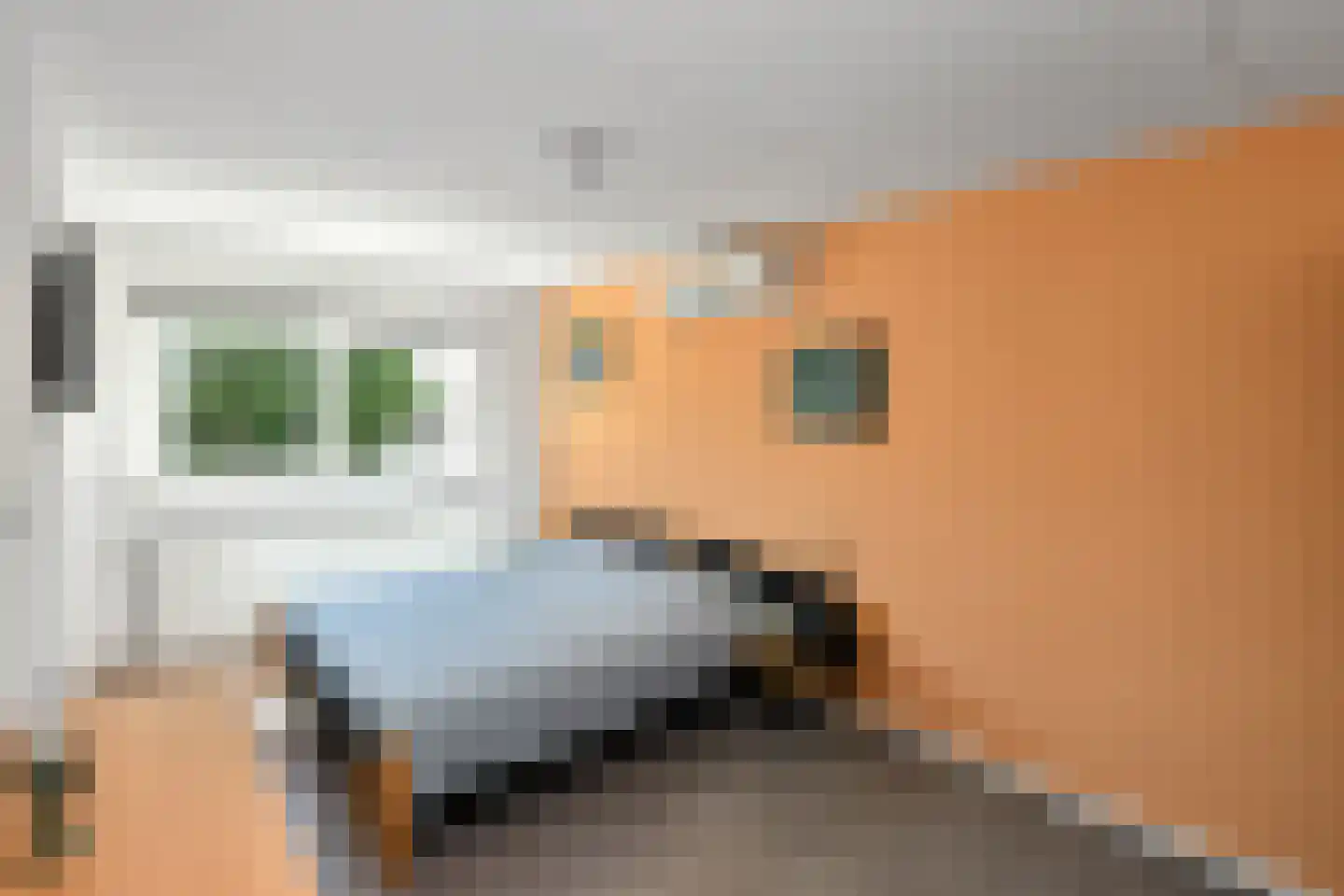 Jasappel 30 Elst thumbnail 22