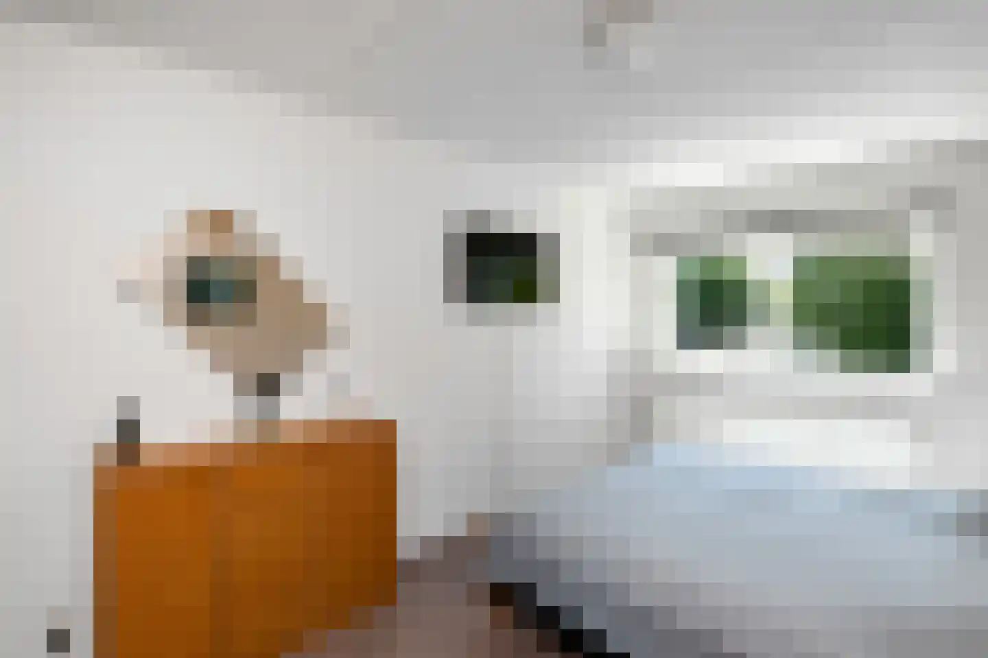Jasappel 30 Elst thumbnail 23