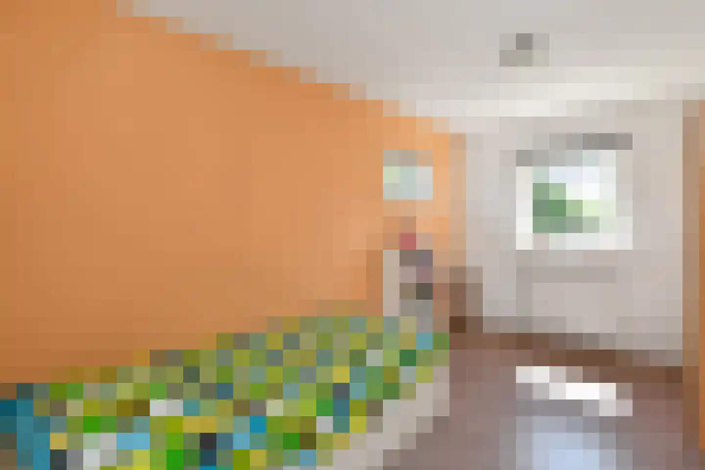 Jasappel 30 Elst thumbnail 27