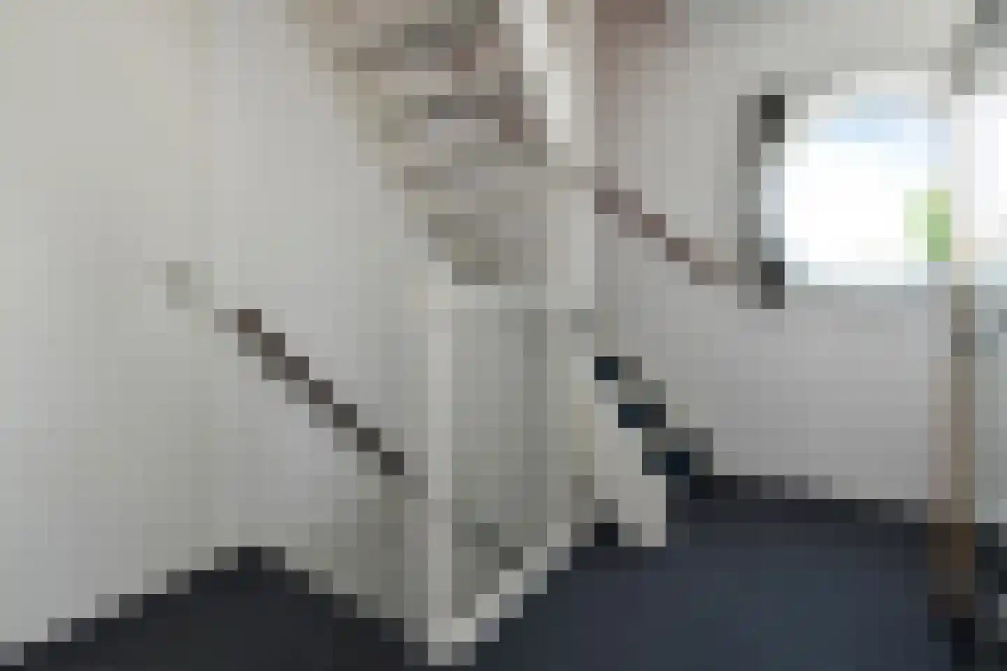 Jasappel 30 Elst thumbnail 34