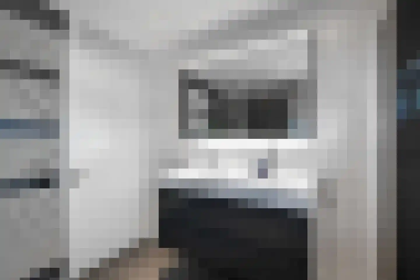 Jasappel 30 Elst thumbnail 34